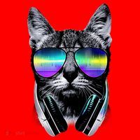 Cool Cat With Sunglasses DJ Retro Style Meme Santa Hat thumb 1