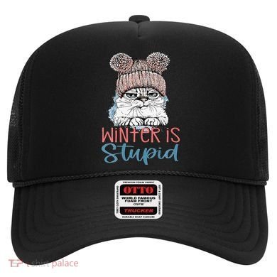 Christmas Cat Winter Is Stupid Hat
