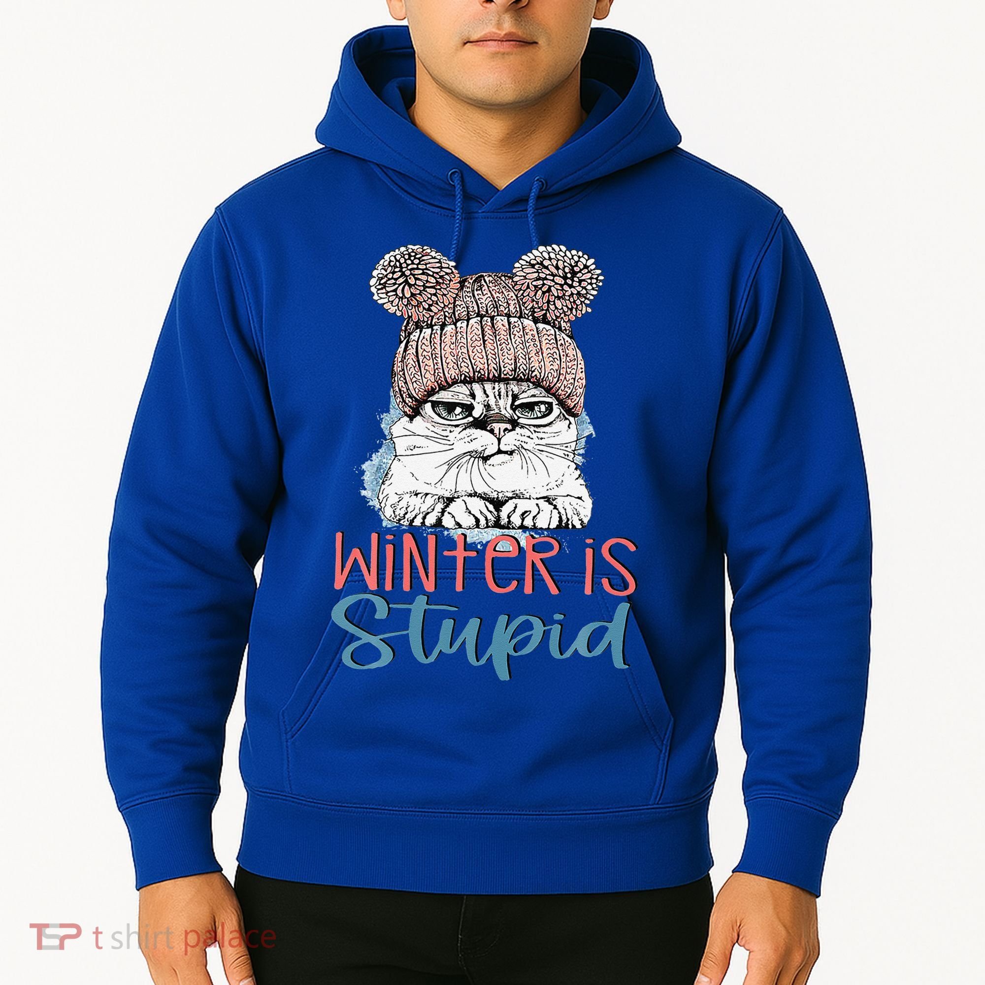 Christmas Cat Winter Is Stupid Hoodie