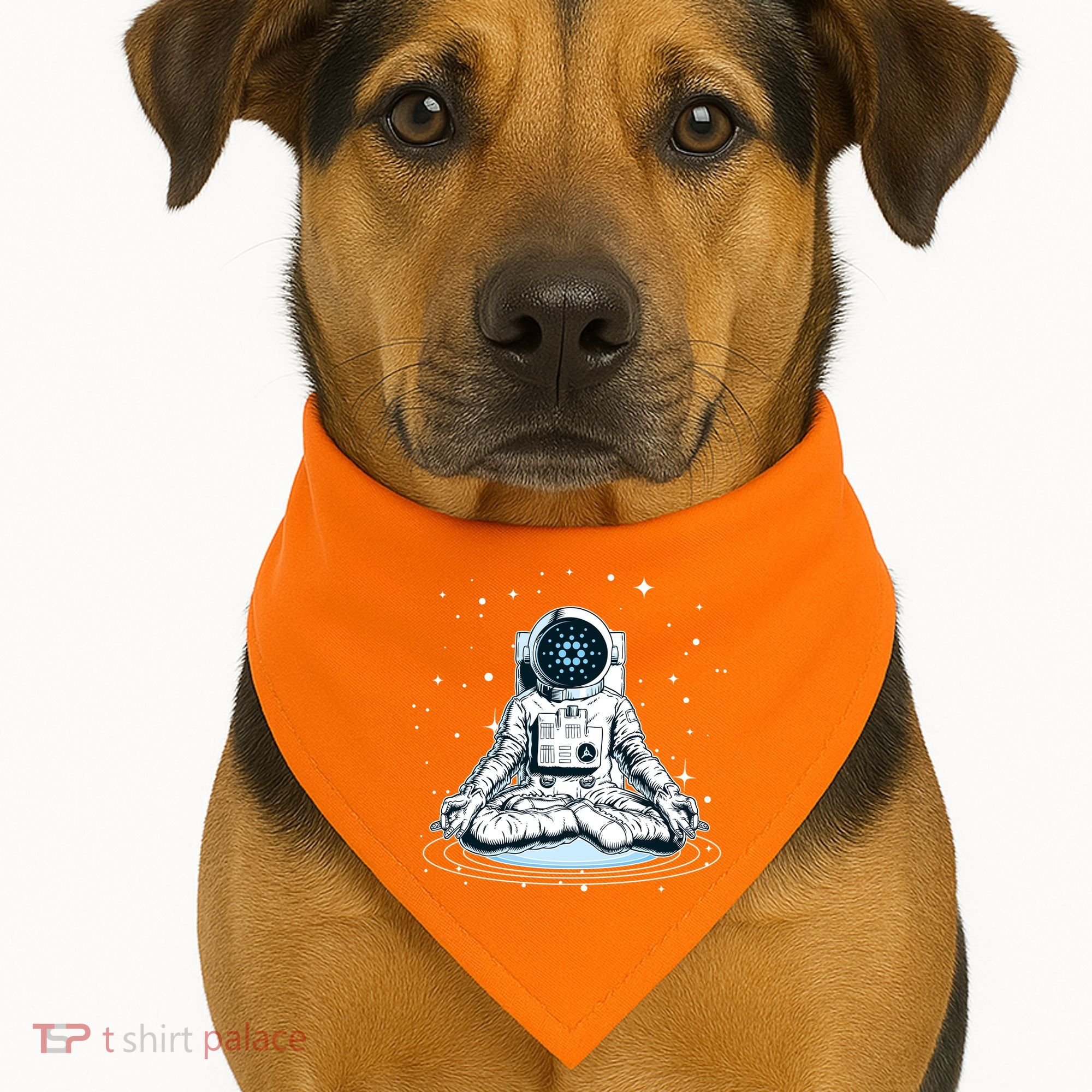 Cardano Cryptocurrency Yoga Space Astronaut USA-Made Doggie Bandana