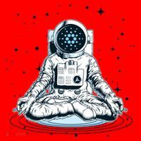 Cardano Cryptocurrency Yoga Space Astronaut Santa Hat thumb 1