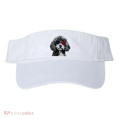 Visor