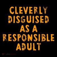 Cleverly Disguised As A Responsible Hoodie thumb 7