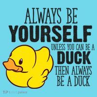 Cute Duck Always Be Yourself Unless You Can Be A Duck Gift Button thumb 1