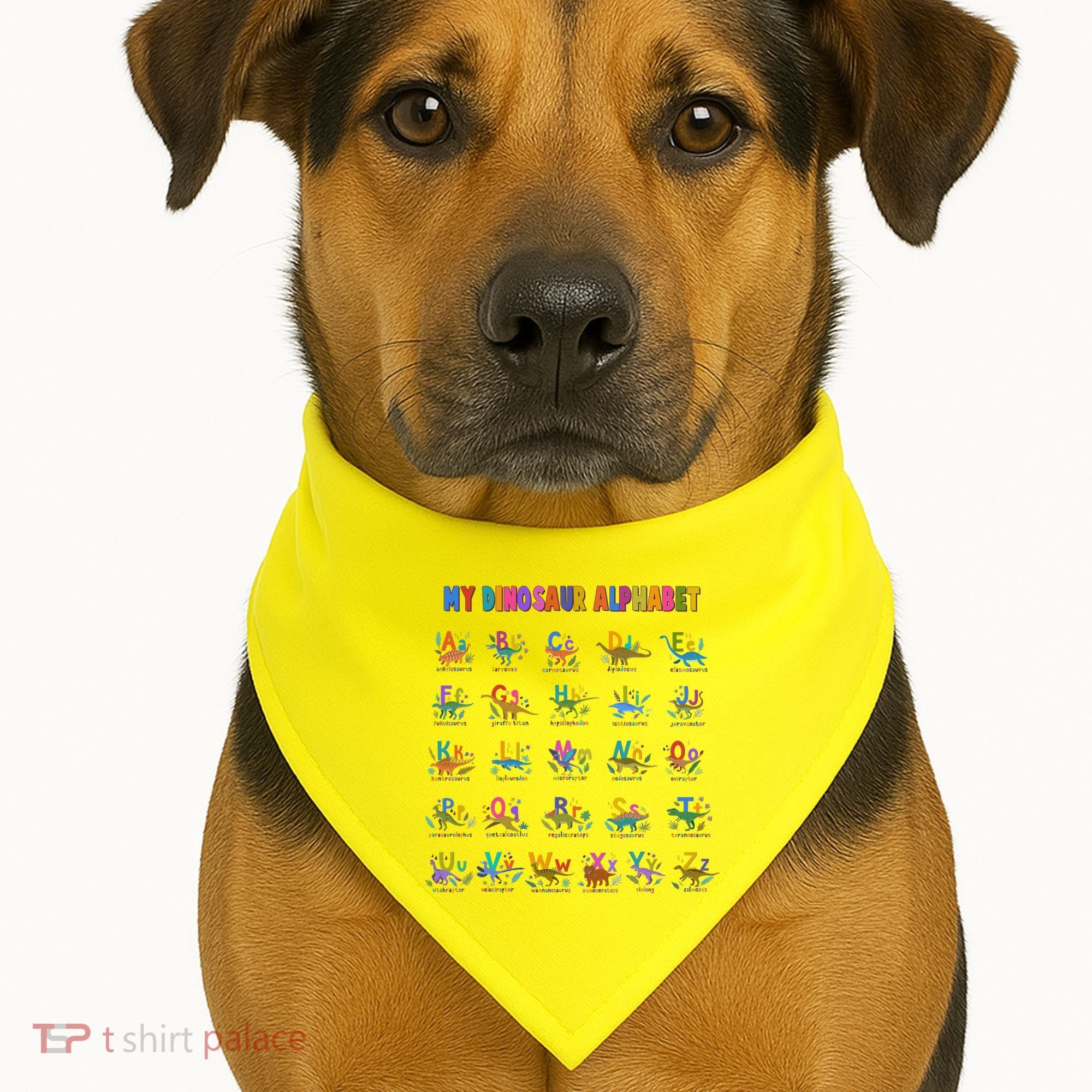 Cool Dinosaur Alphabet Back To School USA-Made Doggie Bandana