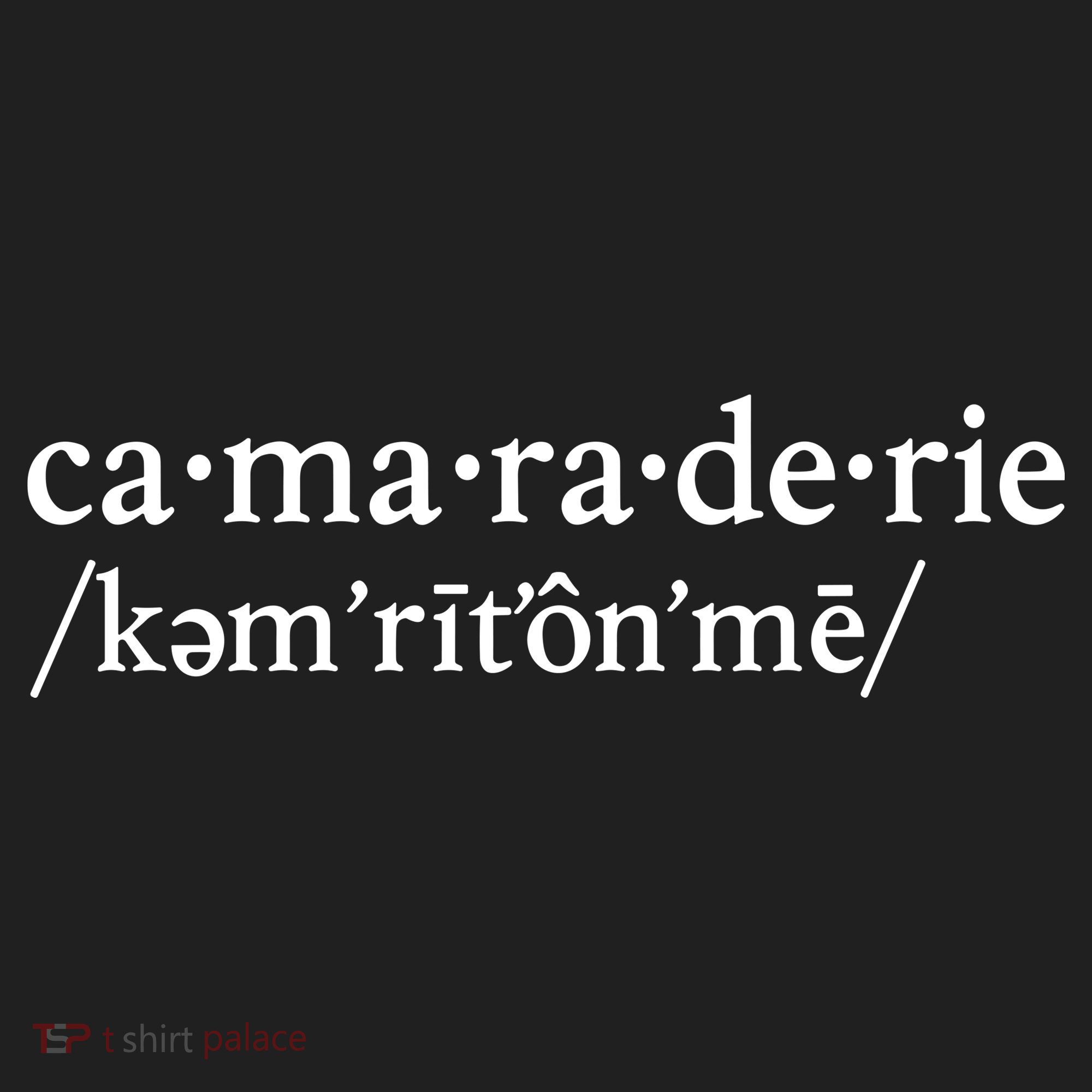 Camaraderie Definition Tumbler