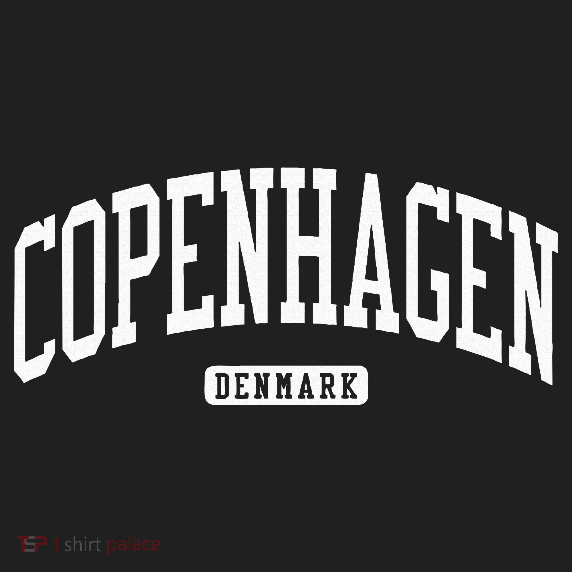 Copenhagen Denmark College University Style Hat