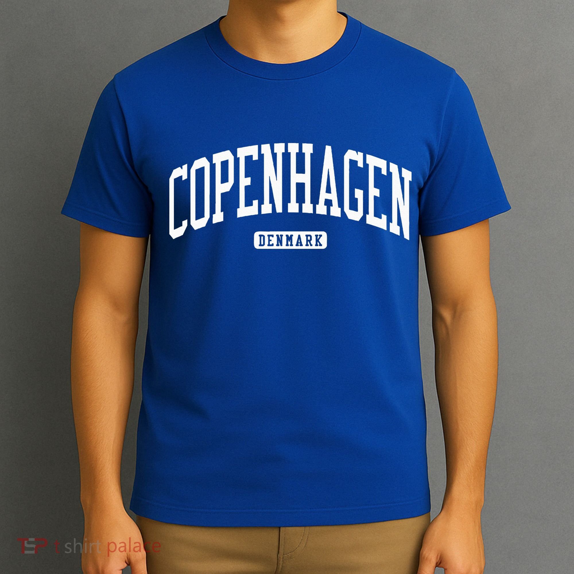 Copenhagen Denmark College University Style T-Shirt