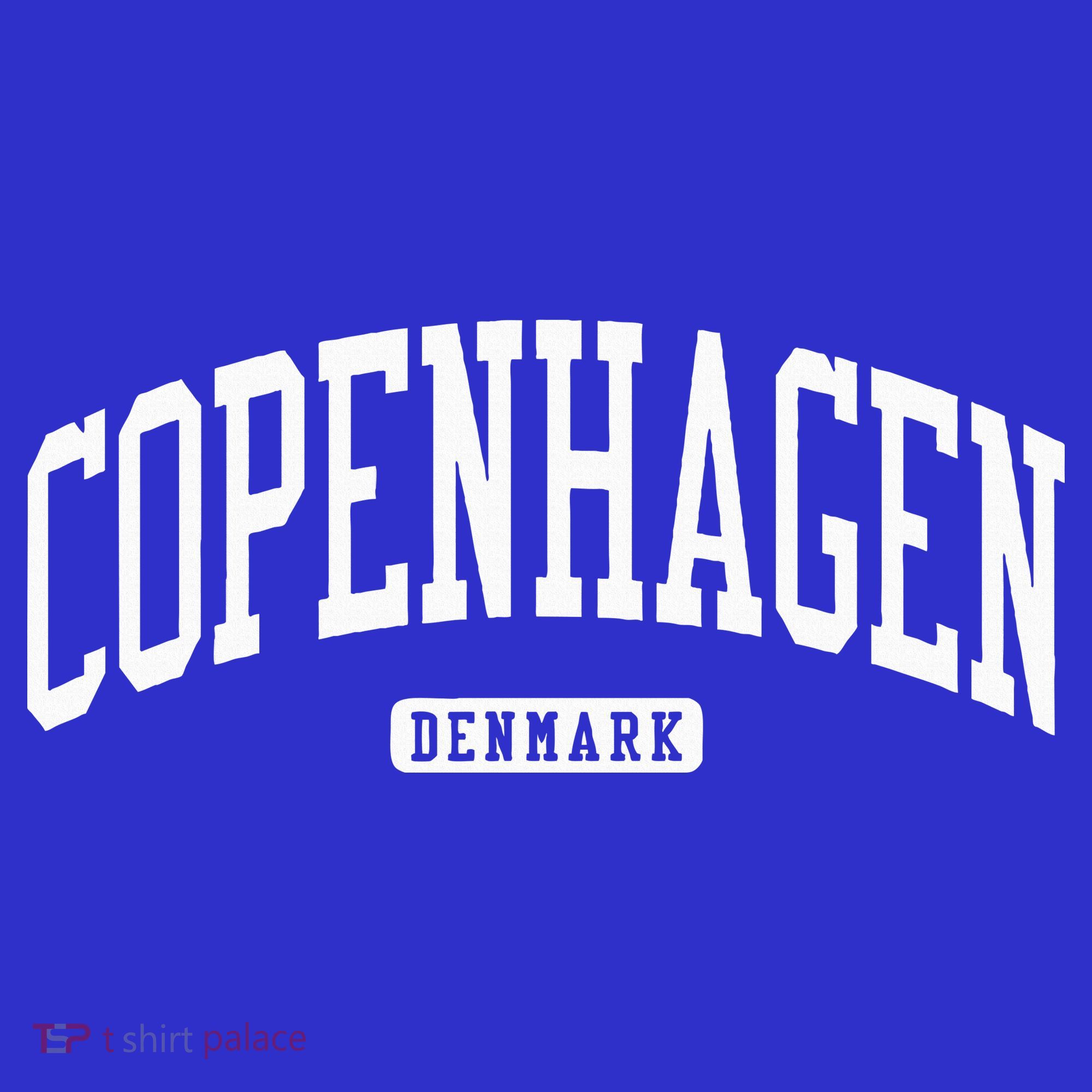 Copenhagen Denmark College University Style Tank Top