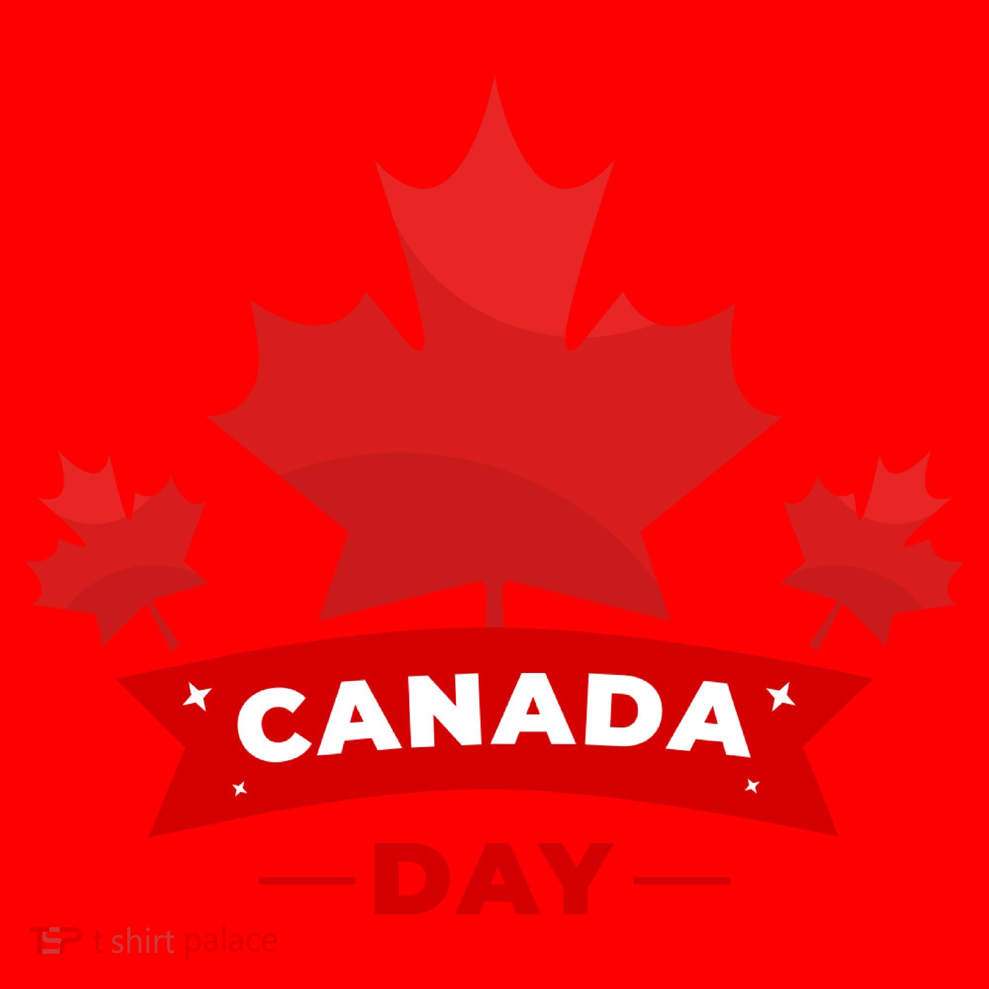 Canada Day Santa Hat