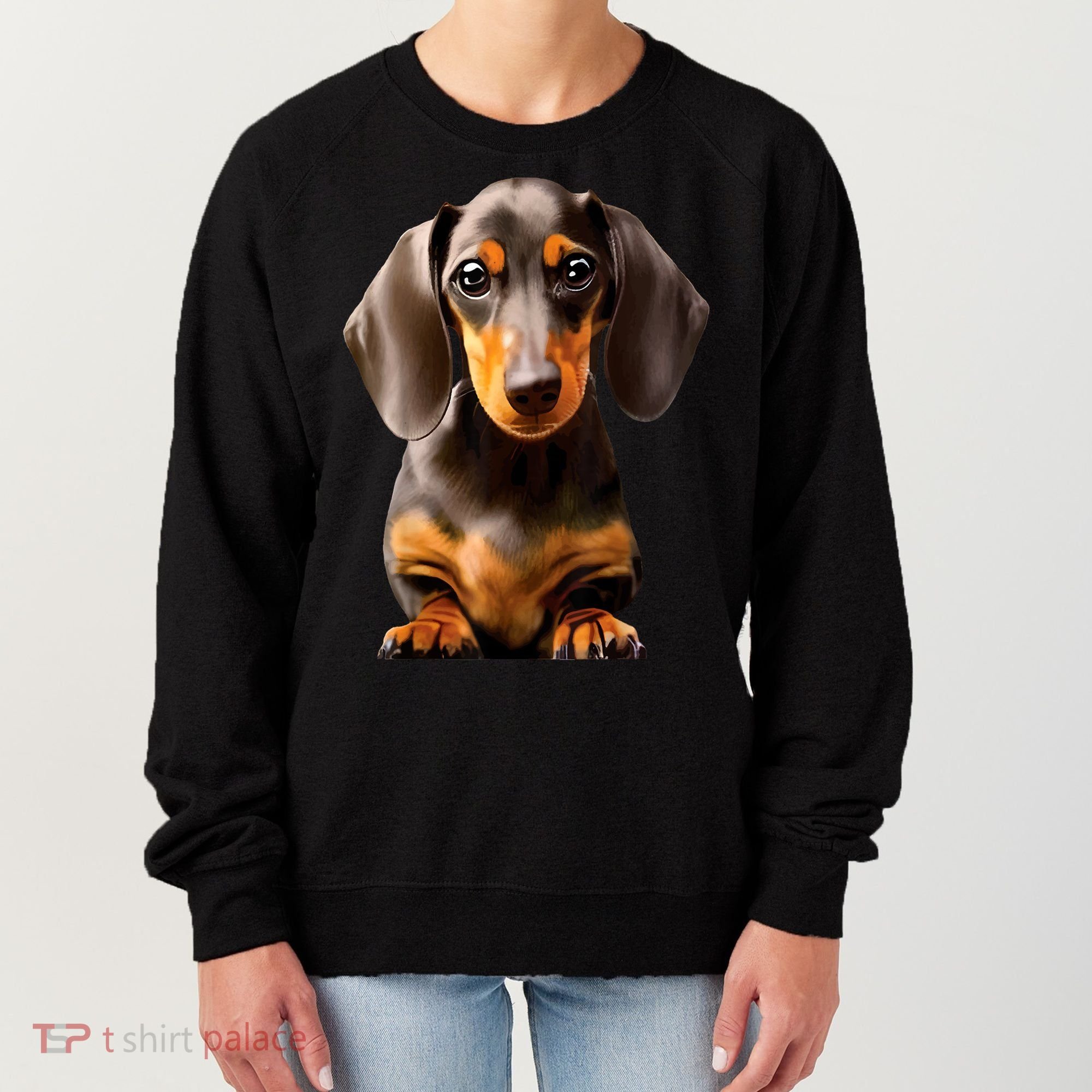 Cute Dachshund Dog Lover Animal Pet Trainer Best Gift Women's Sweatshirt