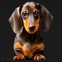 Cute Dachshund Dog Lover Animal Pet Trainer Best Gift Women's Hoodie thumb 2