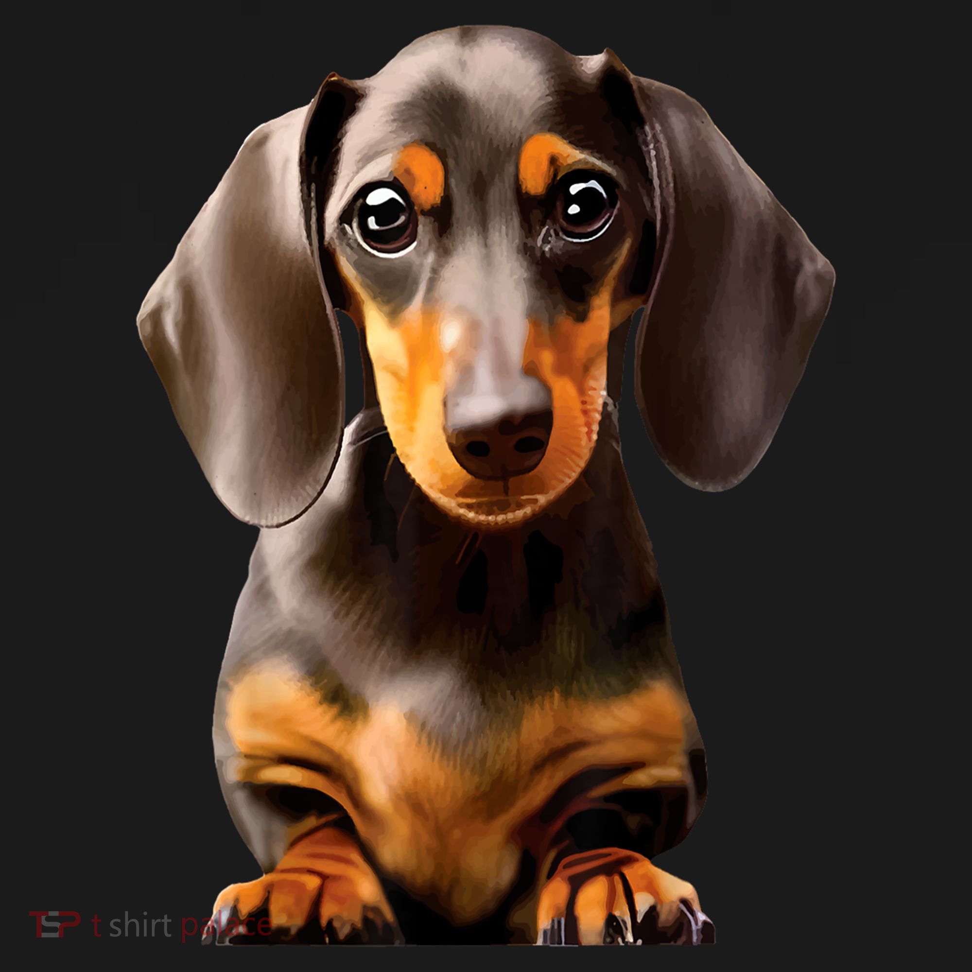Cute Dachshund Dog Lover Animal Pet Trainer Best Gift Women's Tank Top