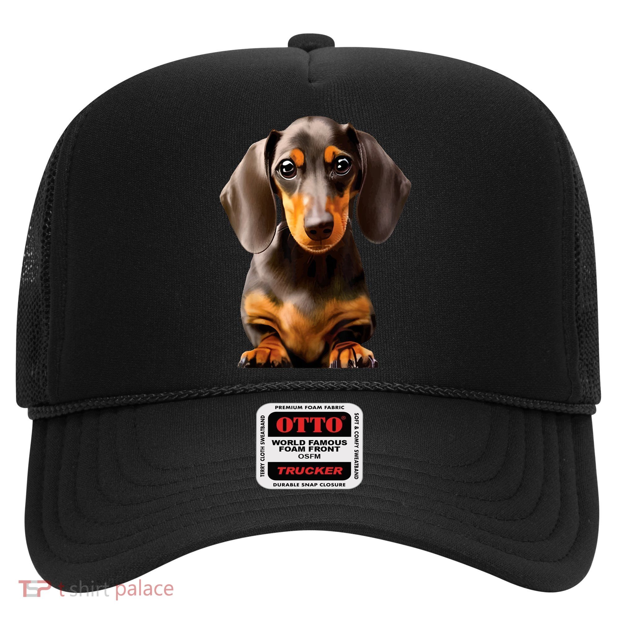 Cute Dachshund Dog Lover Animal Pet Trainer Best Gift Hat