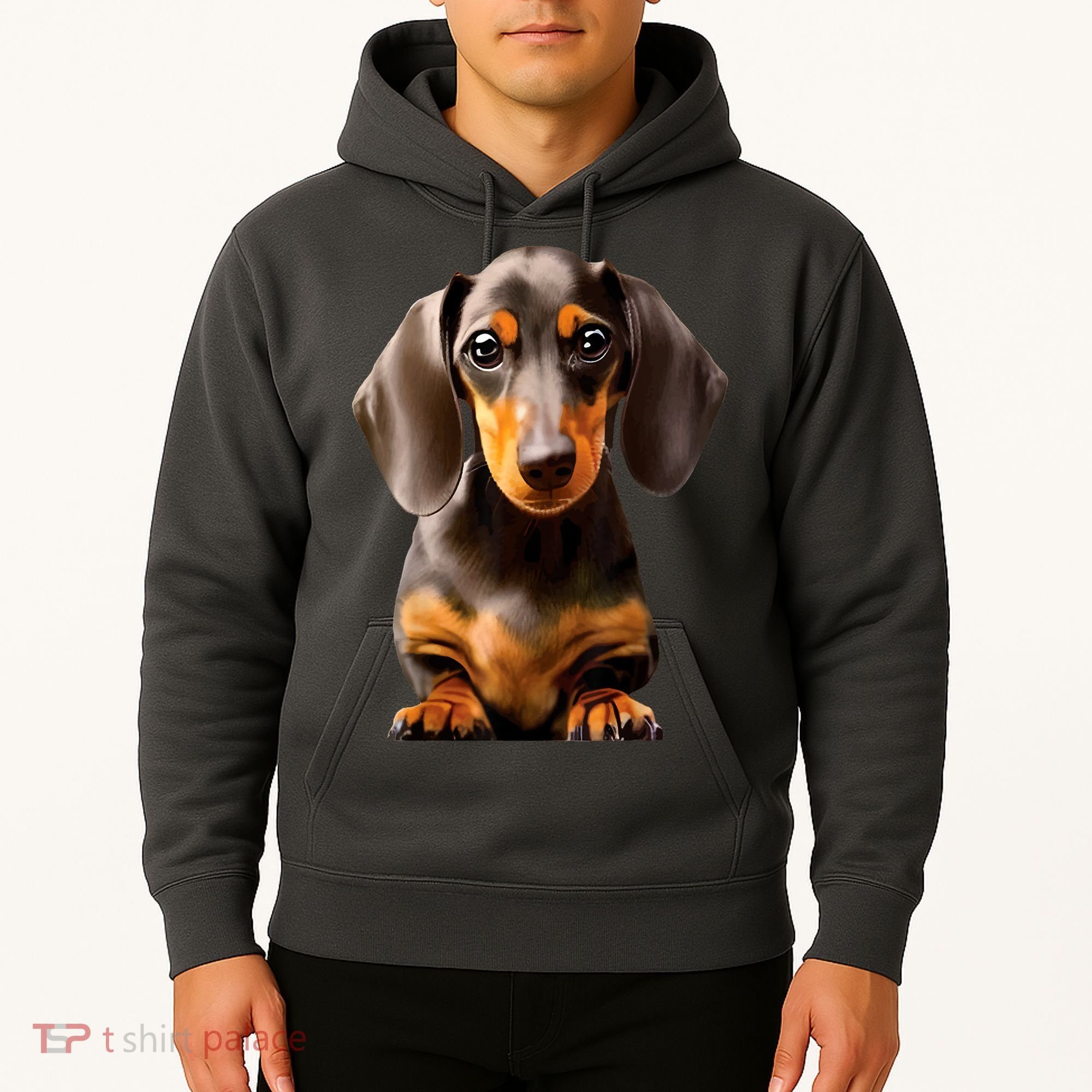 Cute Dachshund Dog Lover Animal Pet Trainer Best Gift Hoodie