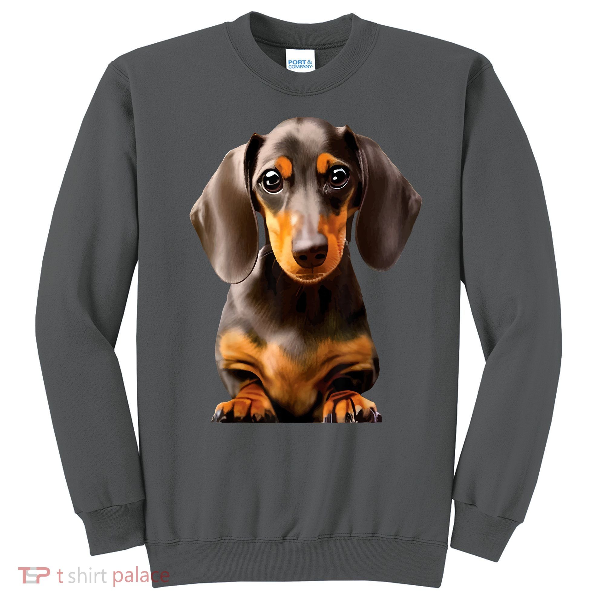 Cute Dachshund Dog Lover Animal Pet Trainer Best Gift Sweatshirt