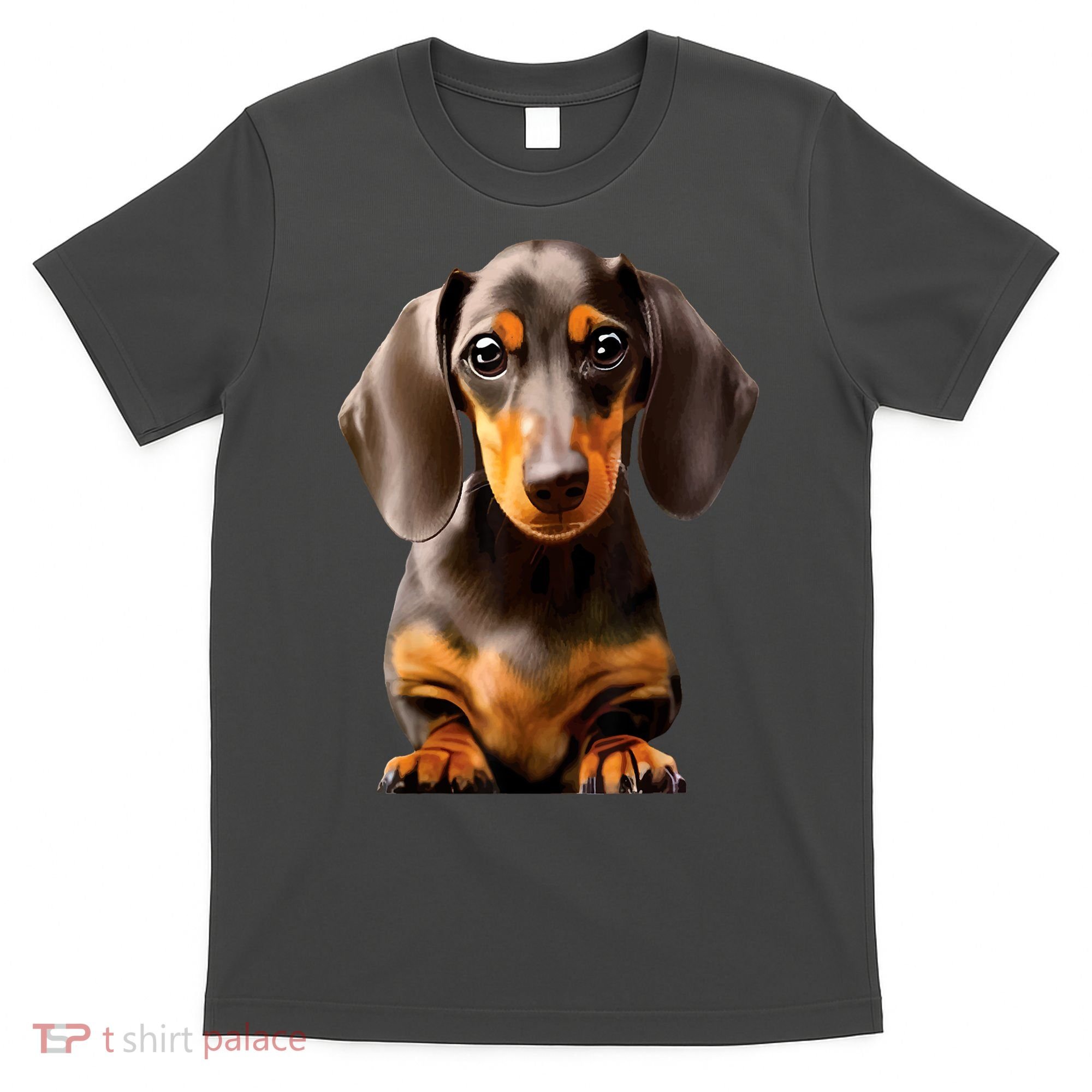 Cute Dachshund Dog Lover Animal Pet Trainer Best Gift T-Shirt