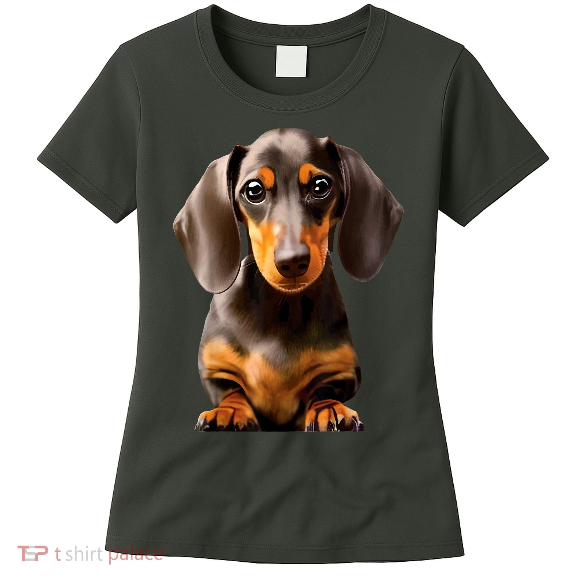 Cute Dachshund Dog Lover Animal Pet Trainer Best Gift Women's T-Shirt