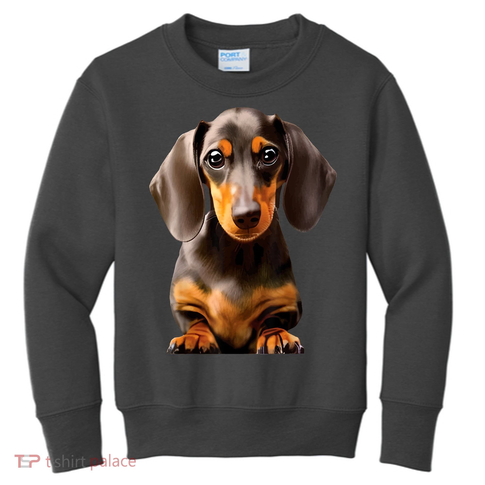Cute Dachshund Dog Lover Animal Pet Trainer Best Gift Kids Sweatshirt
