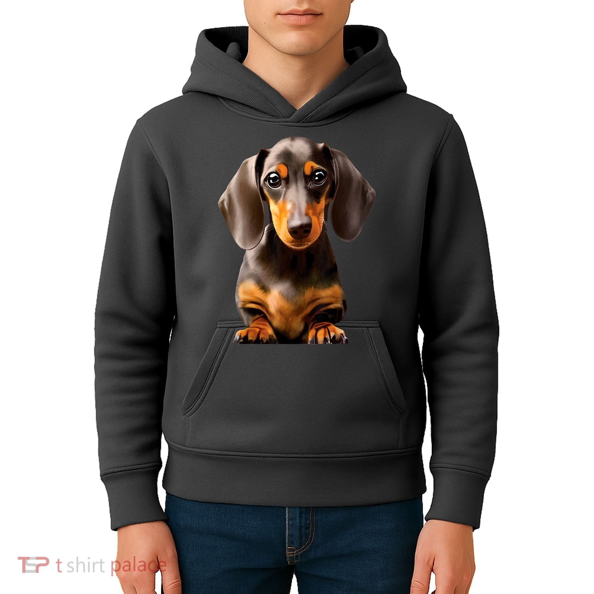 Cute Dachshund Dog Lover Animal Pet Trainer Best Gift Kids Hoodie