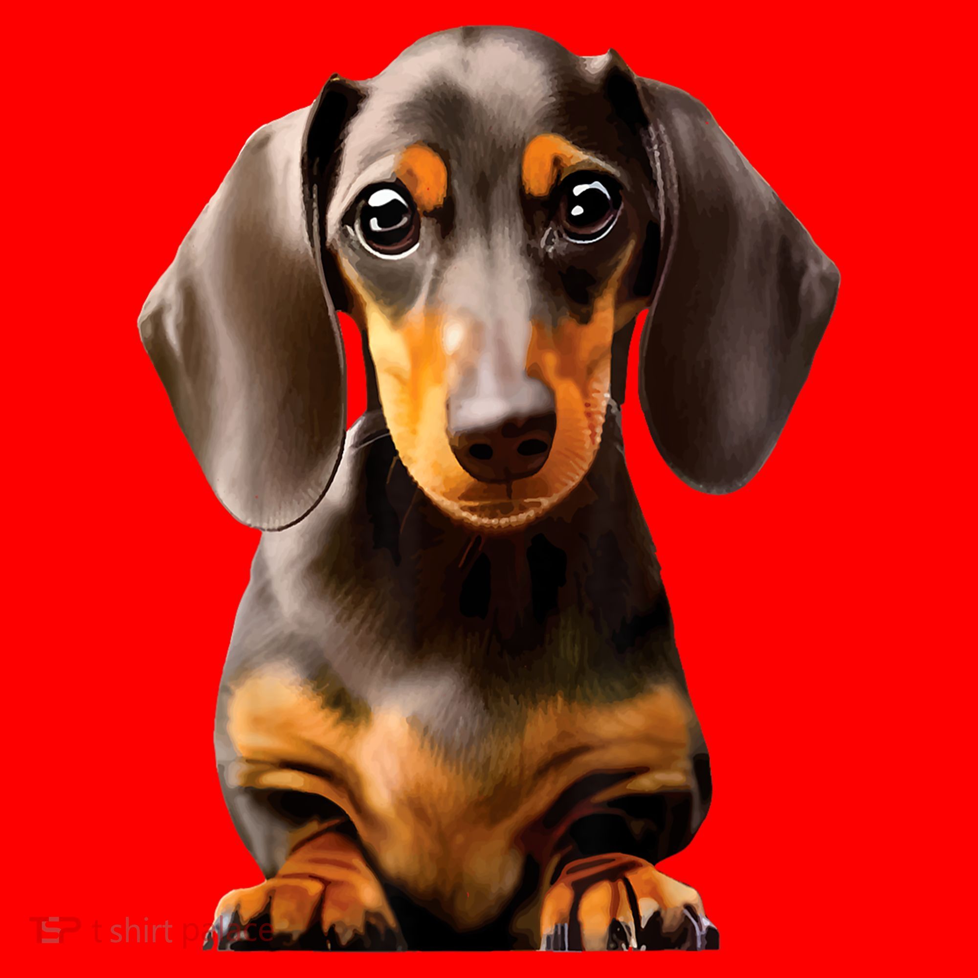 Cute Dachshund Dog Lover Animal Pet Trainer Best Gift Santa Hat