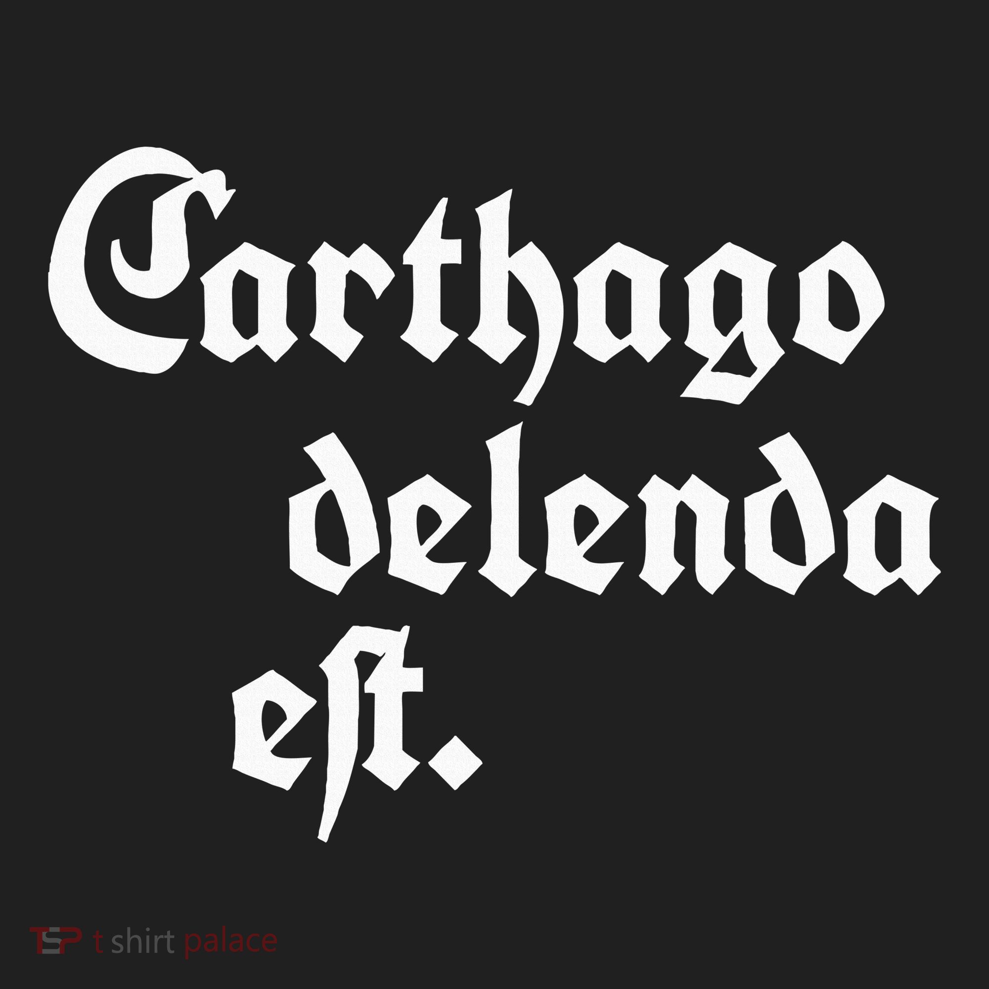 Carthago Delenda Est Beanie