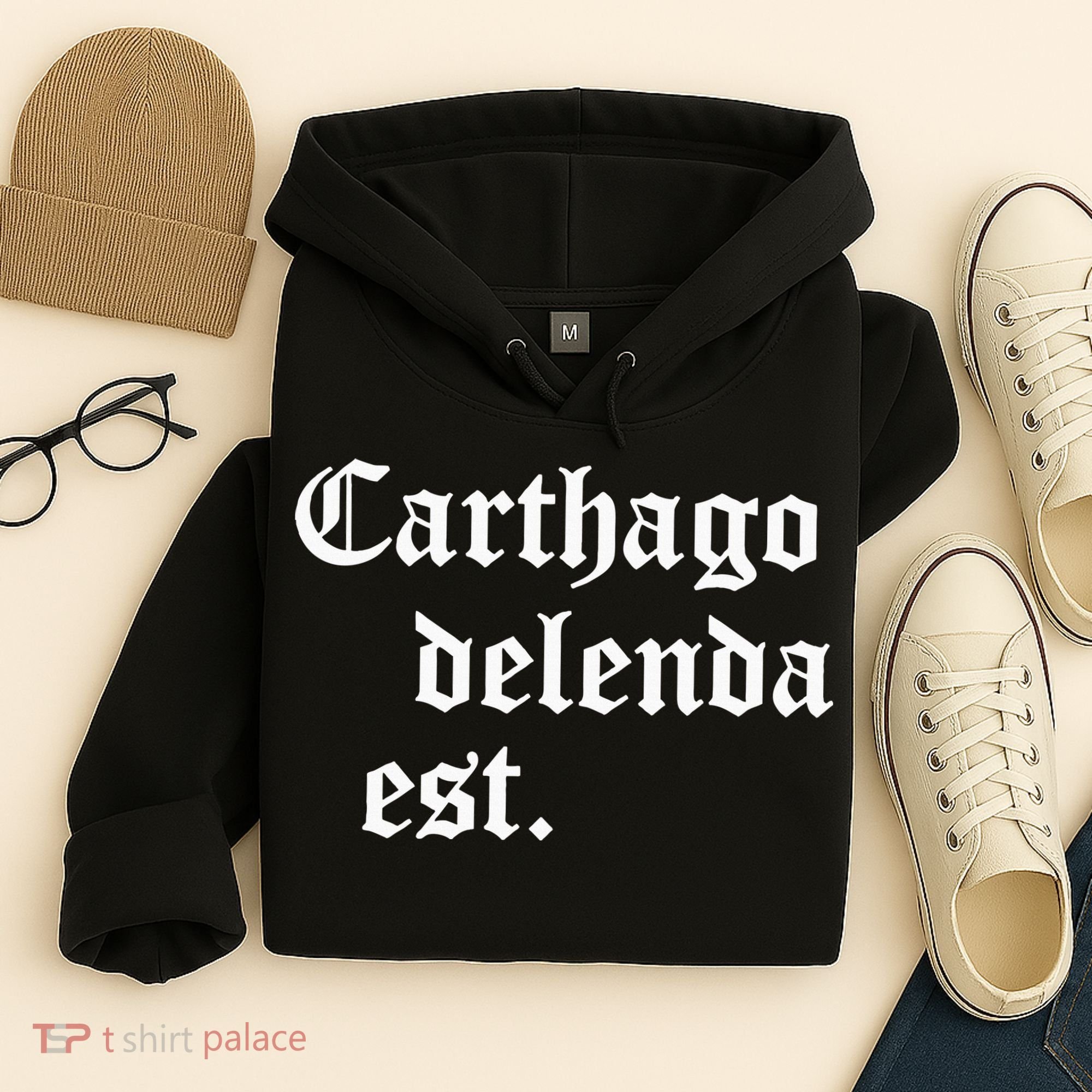 Carthago Delenda Est Latin Phrase Cato Speech Carthage Quote Hoodie