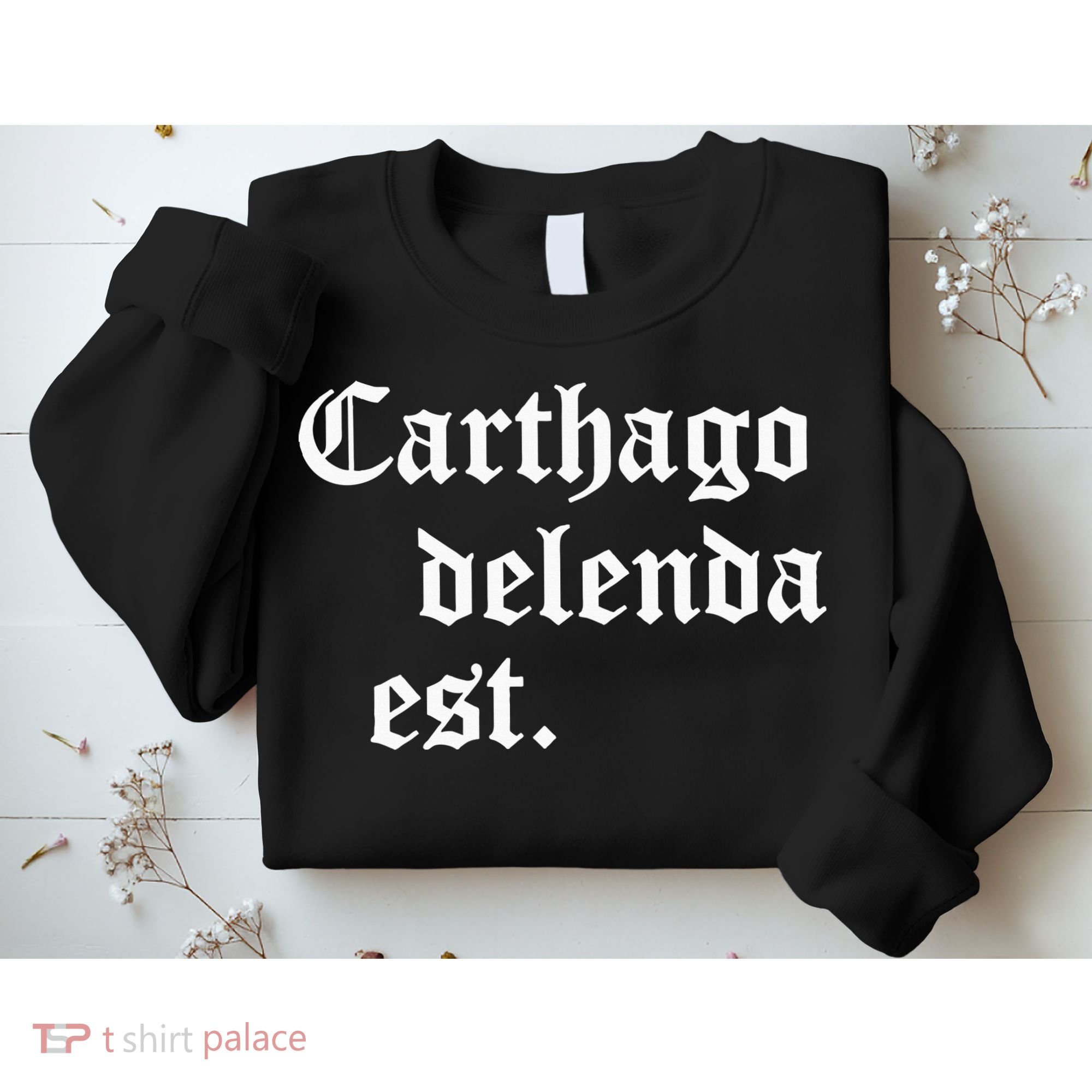 Carthago Delenda Est Latin Phrase Cato Speech Carthage Quote Sweatshirt