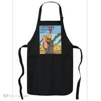Carthago Delenda Est Funny Meme Apron thumb 0
