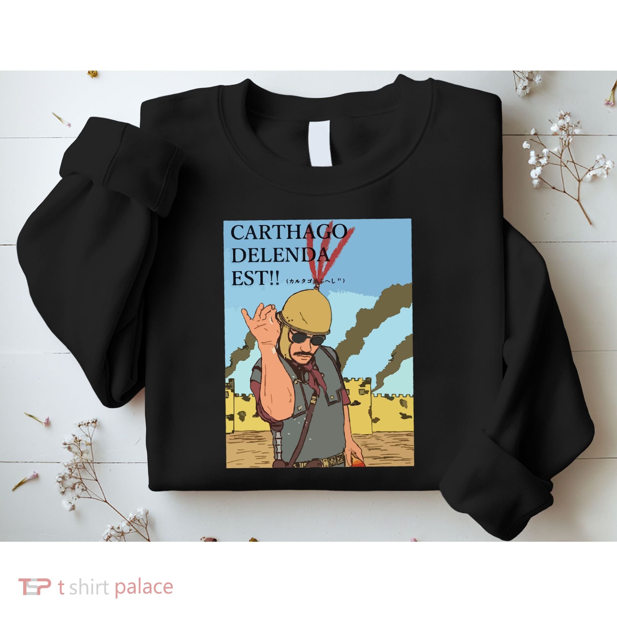 Carthago Delenda Est Funny Meme Sweatshirt