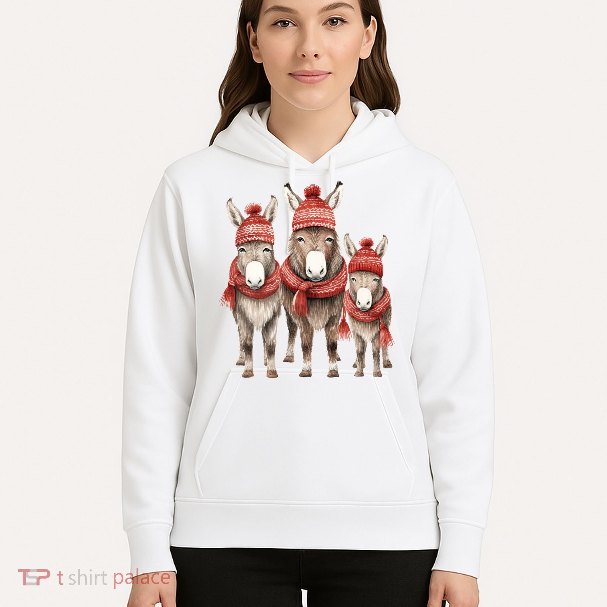 Christmas Donkey Family Matching Outfit Hoodie