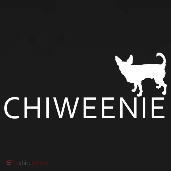 Chiweenie Dog Funny Logo Bucket Hat
