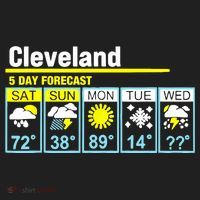 Cleveland-5 Day Forecast Funny Tumbler thumb 3