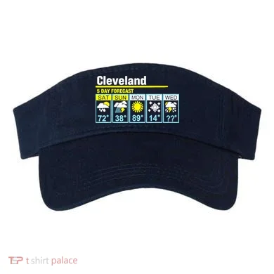 Visor