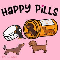 Cute Dachshund Happy Pills Funny Weiner Dog Mom Dad Lover Coaster thumb 2