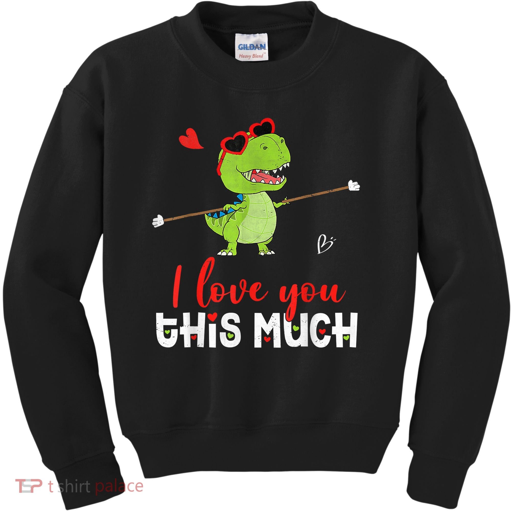 Cute Dinosaur I Love You This Much Valentines Day Trex Kids Sweatshirt