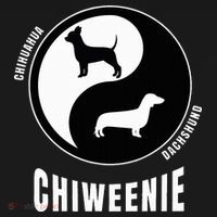 Chiweenie Dog Lovers Breeders Gift Pet Chiweenie Polo thumb 3