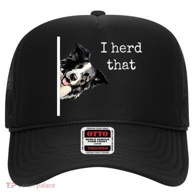 Collie Dog Lovers Herd That Hat