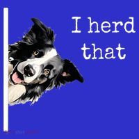 Collie Dog Lovers Herd That Polo thumb 2