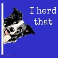 Collie Dog Lovers Herd That Women's T-Shirt thumb 6