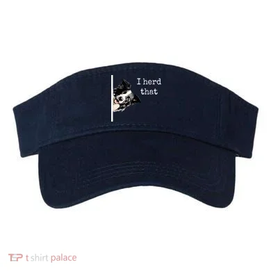 Visor