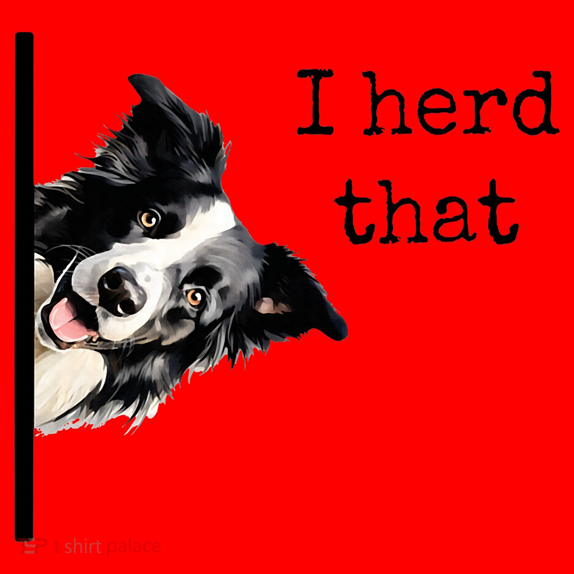 Collie Dog Lovers Herd That Santa Hat