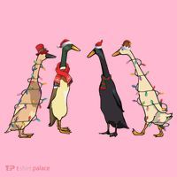Christmas Ducks Lights Santa Ducks Merry Christmas Coaster thumb 2
