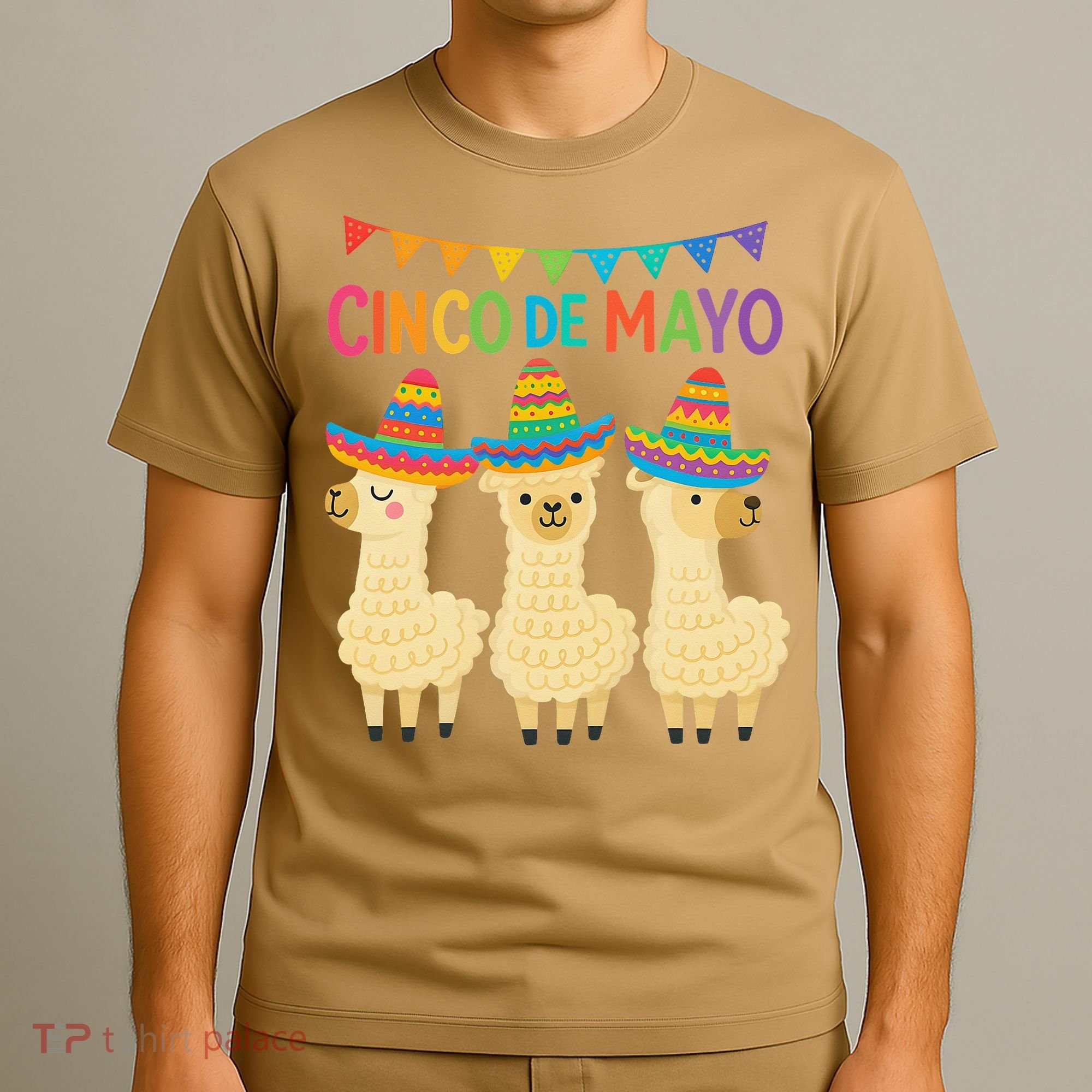 Cinco De Mayo Llama Fiesta Ultimate May 5th Party Vibe T-Shirt