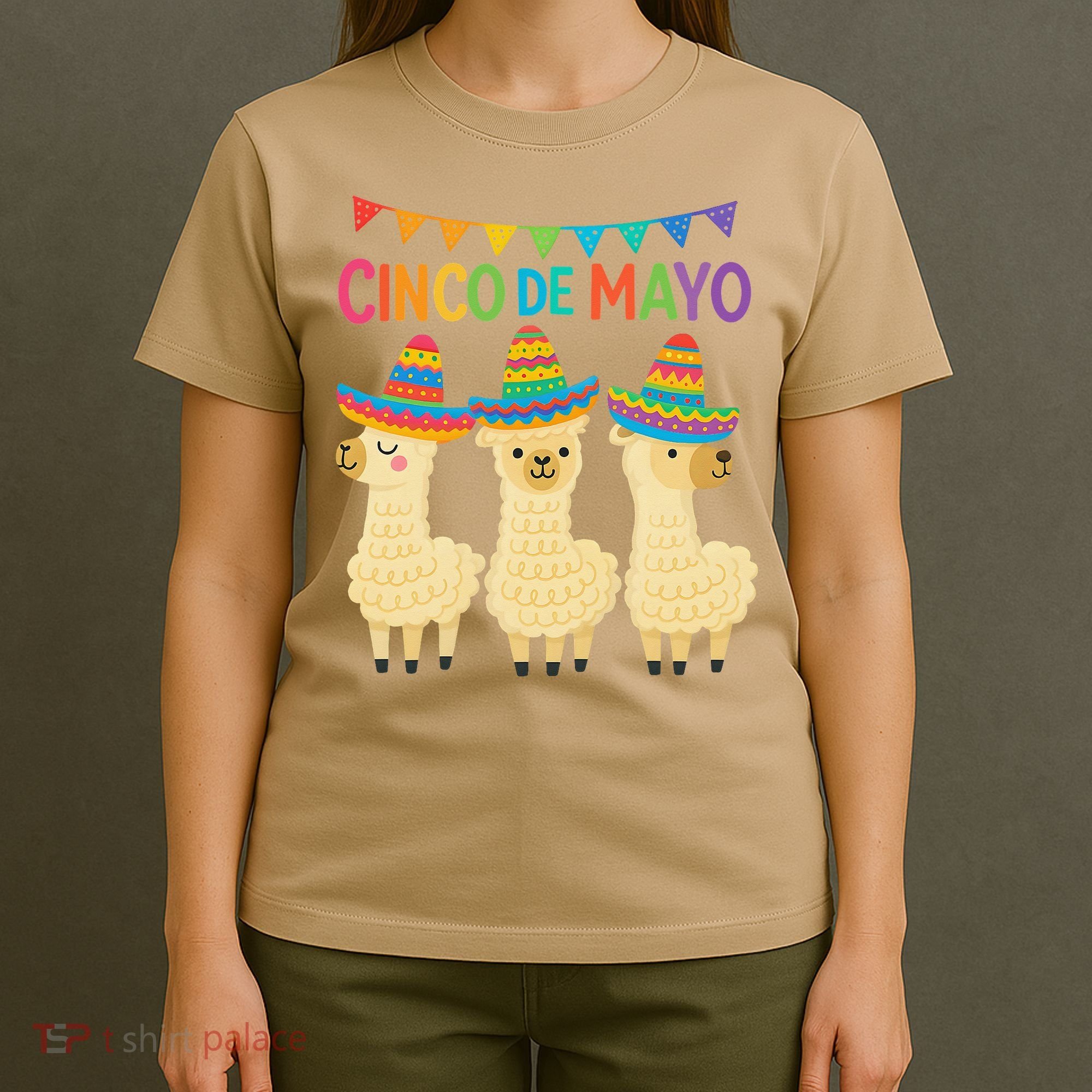Cinco De Mayo Llama Fiesta Ultimate May 5th Party Vibe T-Shirt