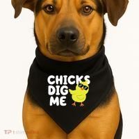 Chicks Dig Me Funny Baby Chick Chicken USA-Made Doggie Bandana thumb 1