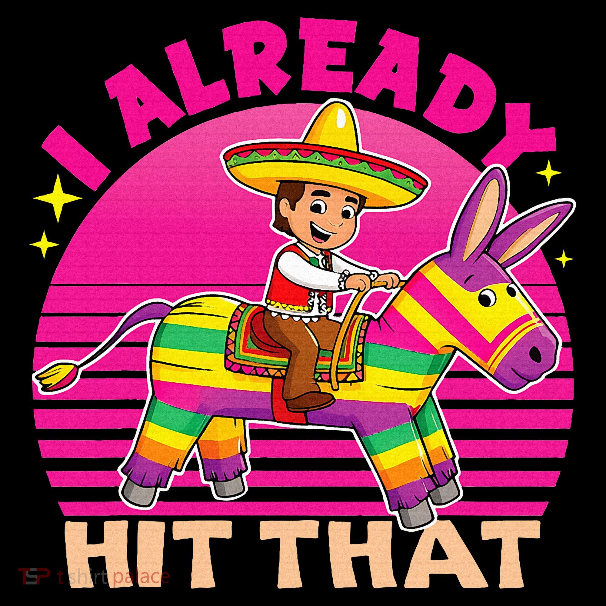 Cinco De Mayo Costume I Already Hit That Pinata Hoodie
