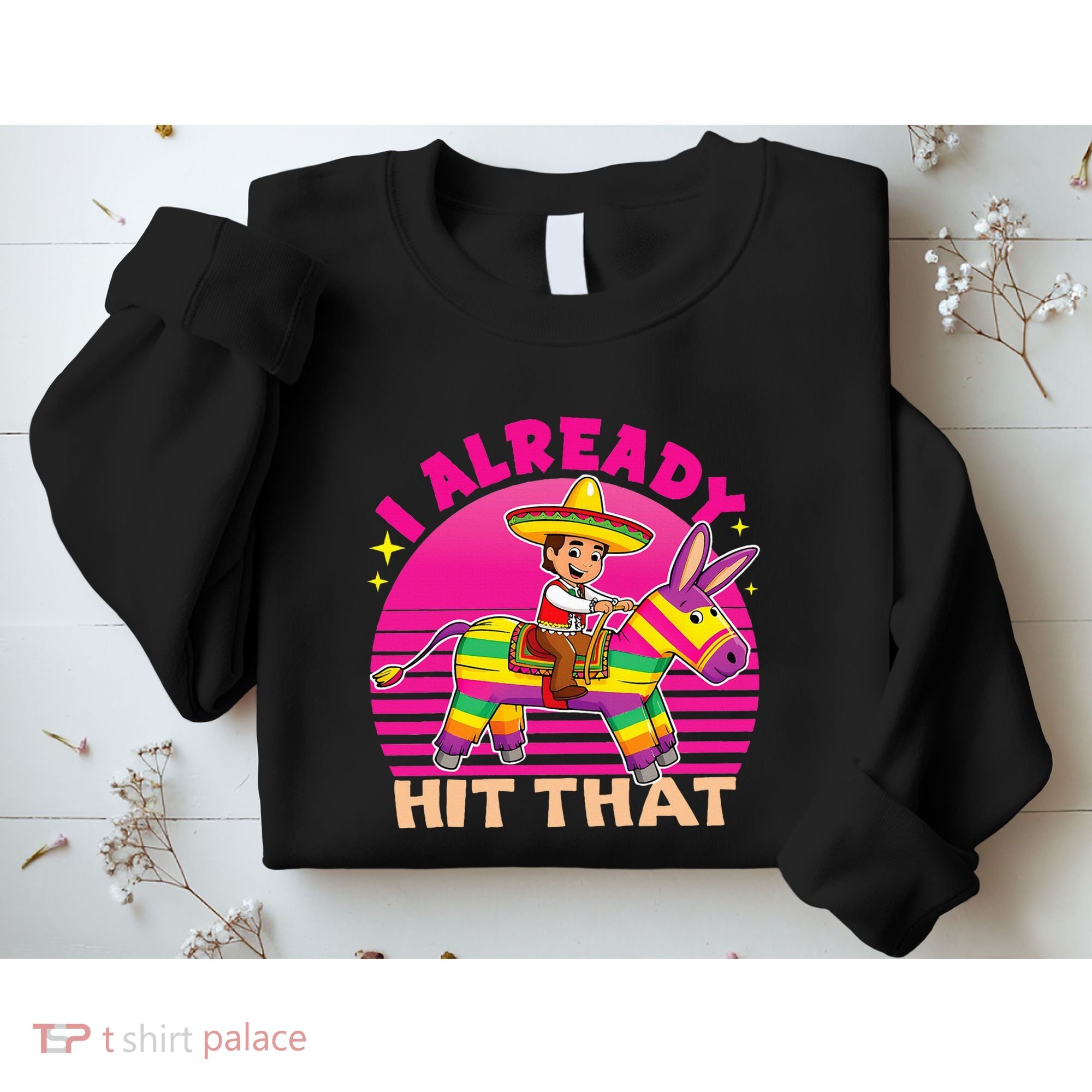 Cinco De Mayo Costume I Already Hit That Pinata Sweatshirt