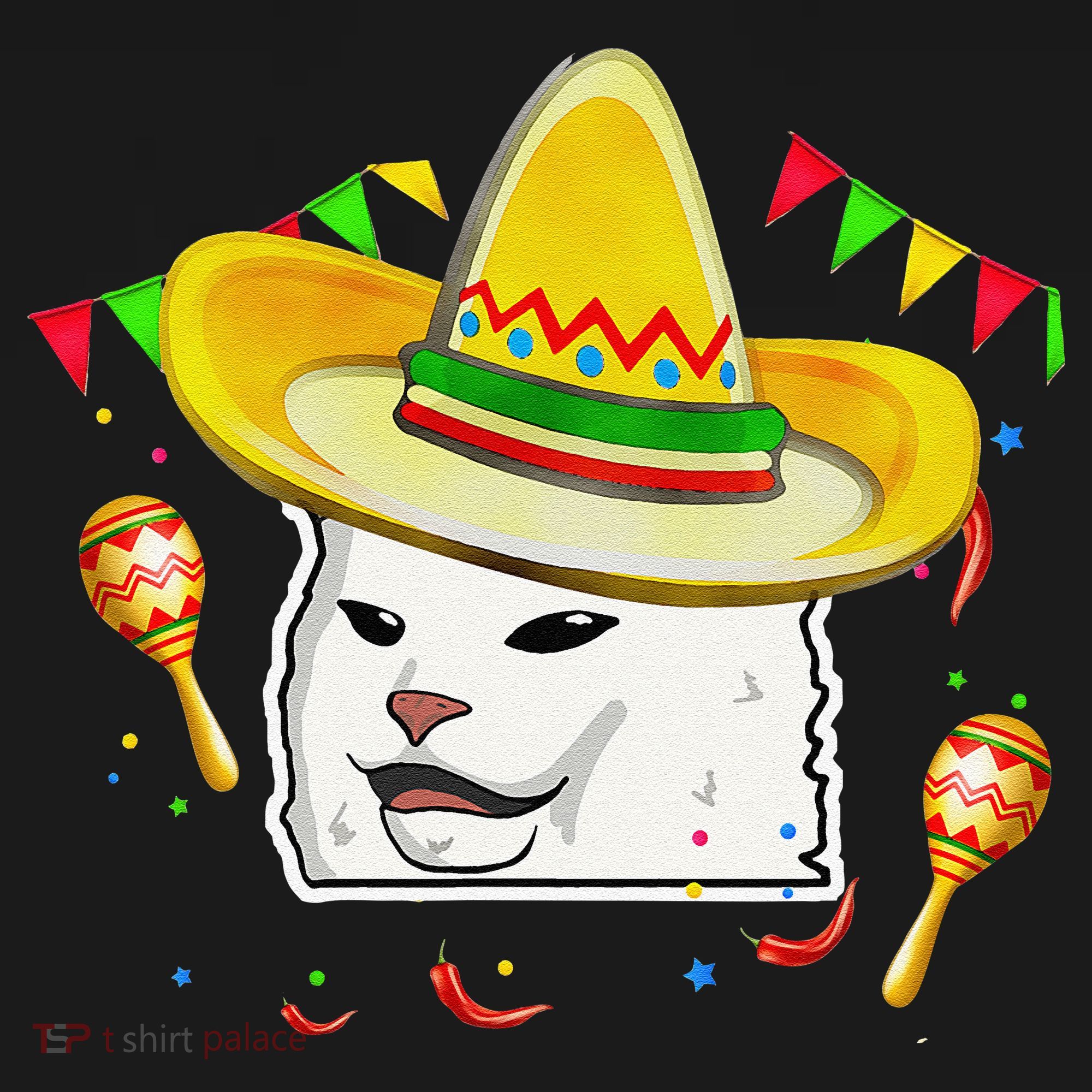 Cinco De Mayo Smudge Cat Mexican Lover Sombrero Cat Gifts Apron