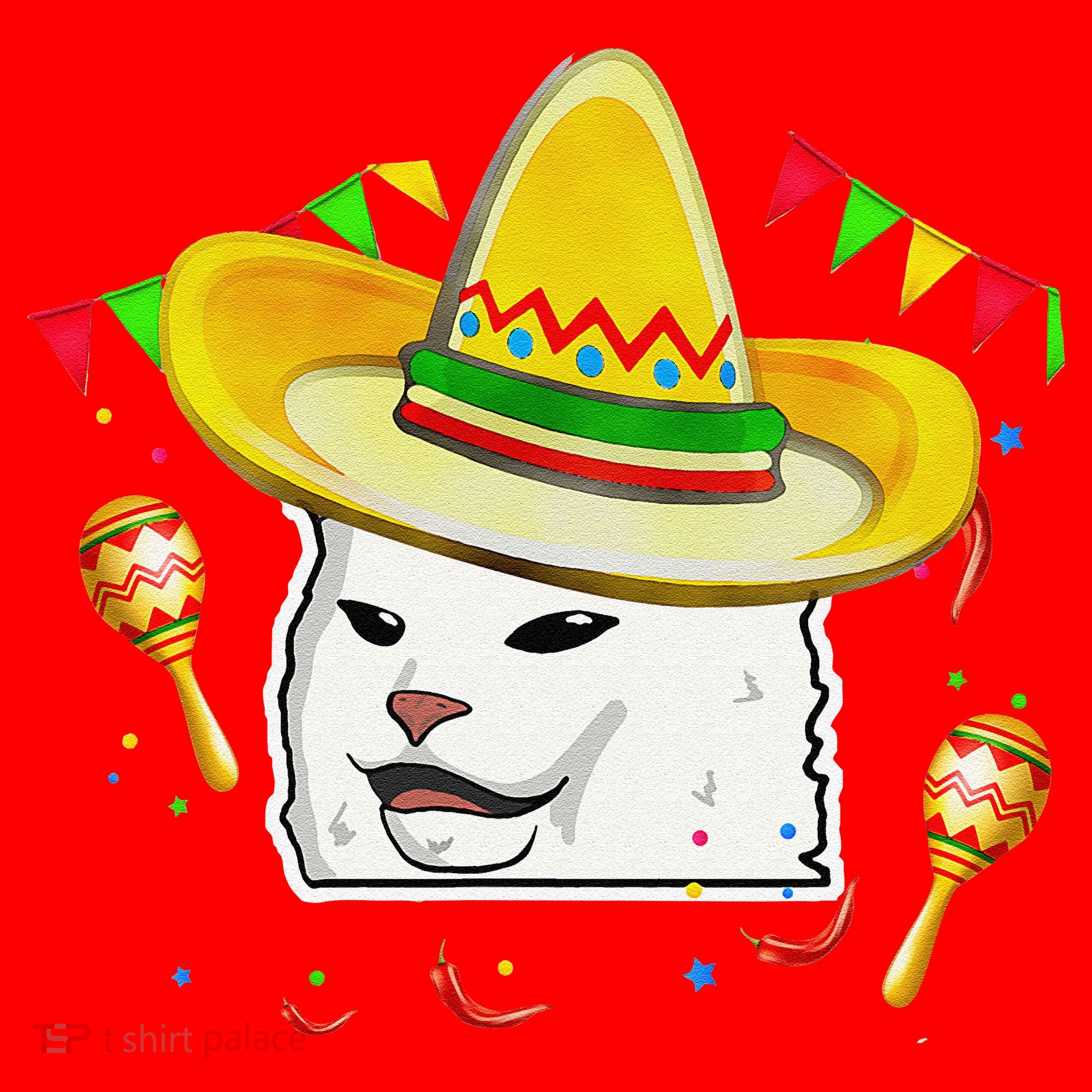 Cinco De Mayo Smudge Cat Mexican Lover Sombrero Cat Gifts Santa Hat